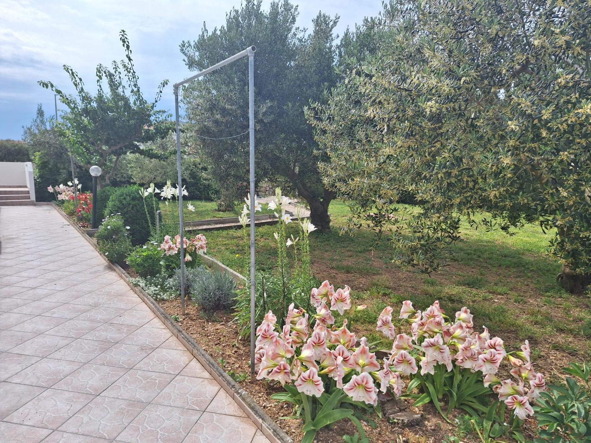 Apartments Donadic I, Caska Новаля Екстериор снимка